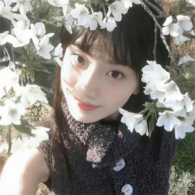 萌犬好声音4