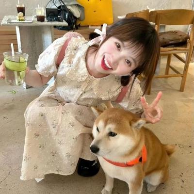 断线森林